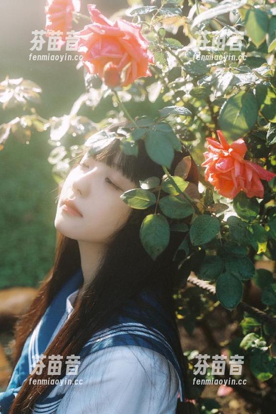 LoozyNO.02点心写真合集：深度解析宋哈娜(송하나)的艺术照片之旅.txt