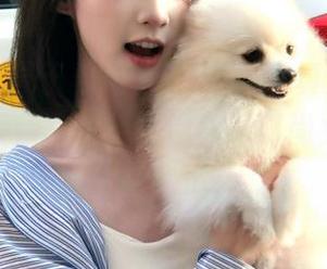 尤蜜荟 – 周于希sandy丝袜写真集精选：柔滑与风情交织，倾情演绎时尚女性的优雅之路.txt