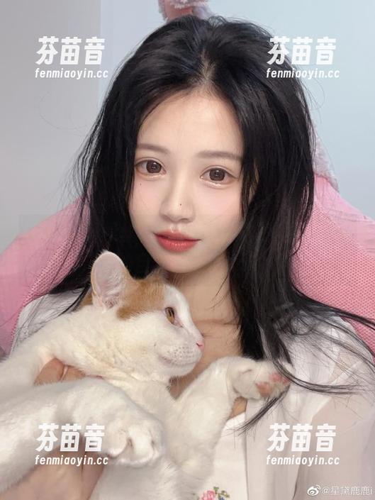 星黛鹿鹿i黑丝写真魅力四射，美图展现她的自信与风情.txt