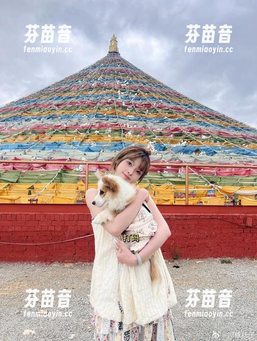 河豚抚子私房写真大揭秘，内衣之美令人沉醉.txt