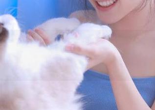 秀人网 – 不可错过的肉晴MINI秘书福利图包，探索她的绝美身姿与风情.txt